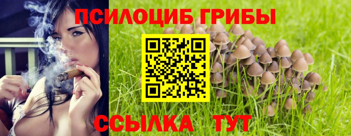 Долгопрудный  наркотики  Галлюциногенные грибы прущие грибы  Вход с VPN  Галлюциногенные грибы Cubensis 