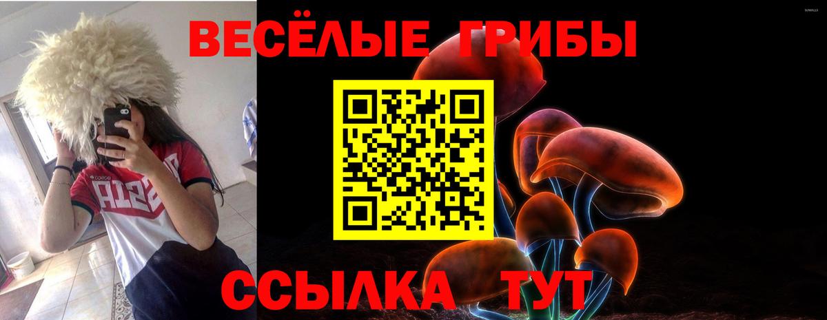 Псилоцибиновые грибы мицелий Долгопрудный